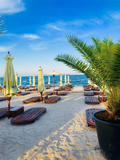 booking mamaia.